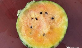 梦吃瓜,揭秘梦境中的美食奇幻之旅