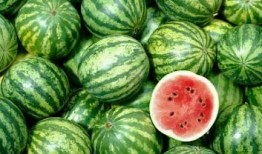 深圳高尔夫圈子吃瓜,揭秘吃瓜背后的精彩故事