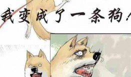 躺平吃瓜小说,一部现代都市躺平者的奇幻漂流