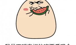 吃瓜表情动图