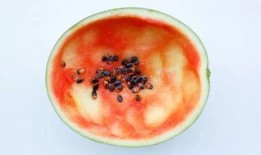 吃三肾丸可以吃瓜吗,安全食用指南