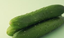 减肥其间可以吃瓜,健康减肥两不误