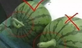 怎样形容吃瓜的人,吃瓜人生的悠然自得