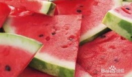 吃瓜导航群,网络社交新趋势下的娱乐风向标