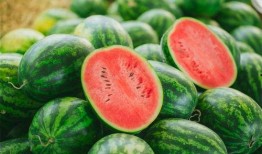 初学吃瓜,揭秘吃瓜界的入门指南