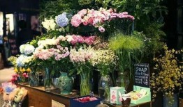 莆田花店吃瓜事件,一场引发热议的误会风波