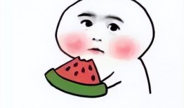 爆笑吃瓜博主小说,爆笑吃瓜博主小说里的欢乐日常