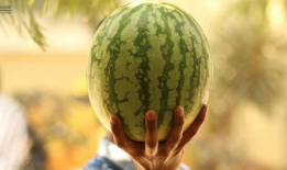 豆瓣上的吃瓜,揭秘娱乐圈吃瓜背后的真相与内幕