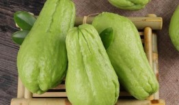 佛手瓜这么吃,探索健康美味的烹饪新境界