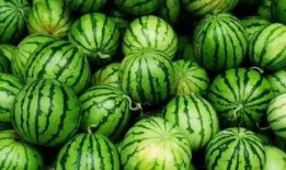 吃瓜一个很大的瓜,一场震惊众人的秘密风暴