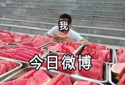 吃瓜大观众,吃瓜群众视角下的娱乐圈风云录