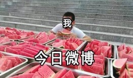 吃瓜大观众,吃瓜群众视角下的娱乐圈风云录