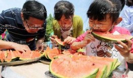 潍坊莱州吃瓜,潍坊莱州特色美食之旅