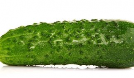 减肥其间可以吃瓜,健康减肥两不误