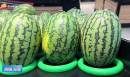 新华城连续吃瓜,连续吃瓜，揭秘幕后真相