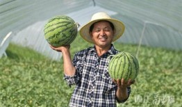 北斋吃瓜,揭秘娱乐圈的幕后故事