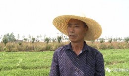 吃瓜群众别心急,且慢下结论！