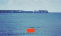 在大海中吃瓜,瓜果飘香的海上美食之旅