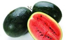 rc小梁rc年吃瓜,瓜田里的欢乐时光