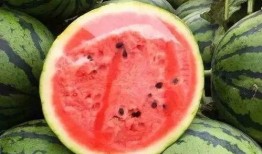 有吃瓜吗,有吃瓜吗？热点事件深度剖析