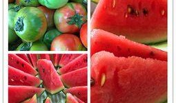 吃瓜小队 搜狐,揭秘网络热点背后的故事