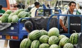 新华城连续吃瓜,连续吃瓜，揭秘幕后真相