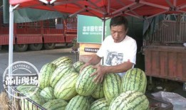 一瓜两吃价格,价格实惠，美味尽享