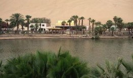 绿洲时间吃瓜地点,探寻吃瓜地点的奇妙之旅