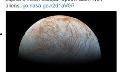 神秘星球吃瓜,探寻异域瓜果传奇