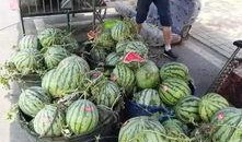 莆田花店吃瓜事件,一场引发热议的误会风波