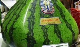 勺子吃瓜的gif,趣味横生的瞬间捕捉