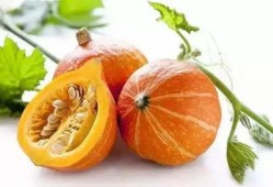 小丁komachi吃瓜,吃瓜群众的快乐与烦恼