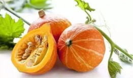 小丁komachi吃瓜,吃瓜群众的快乐与烦恼