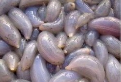 吃瓜找地瓜,吃瓜乐趣寻地瓜之旅