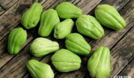 佛手瓜这么吃,探索健康美味的烹饪新境界