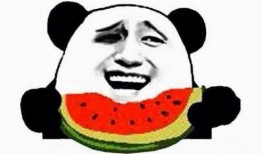 给你瓜吃考验他人,一场关于考验与成长的奇幻之旅