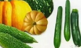 吃蜜瓜去火吗,夏日清凉好伴侣