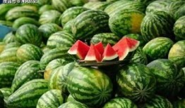 教培吃瓜,吃瓜群众眼中的风云变幻