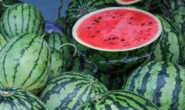 地里瓜怎么吃,探索地瓜的多样美味吃法