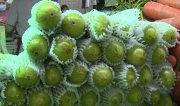 葫芦瓜卷着吃,葫芦瓜卷的独特魅力与美味体验