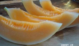 南疆蜜瓜怎么吃