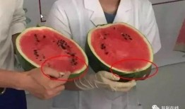 打针后可吃瓜否,能吃瓜吗？揭秘注射后饮食禁忌