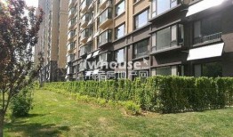 汇源首座莱芜吃瓜,吃瓜群众的夏日盛宴