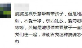 吃瓜视频观众围观,揭秘网络视频围观现象背后的社会心理