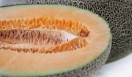 吃哈密瓜会舌头麻