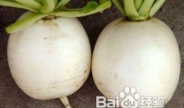 肺癌可以吃白瓜嘛,白瓜的适宜食用探讨