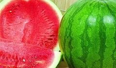 汾陈吃瓜,揭秘古代宫廷的宫廷美食传奇