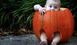 吃瓜里面有蛆虫吗,吃瓜安全指南——蛆虫隐患与防范措施