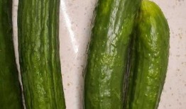 像黄瓜的瓜怎么吃,探索黄瓜的独特吃法