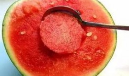 欢欢的童年吃咸瓜,欢欢的甜蜜苦涩时光